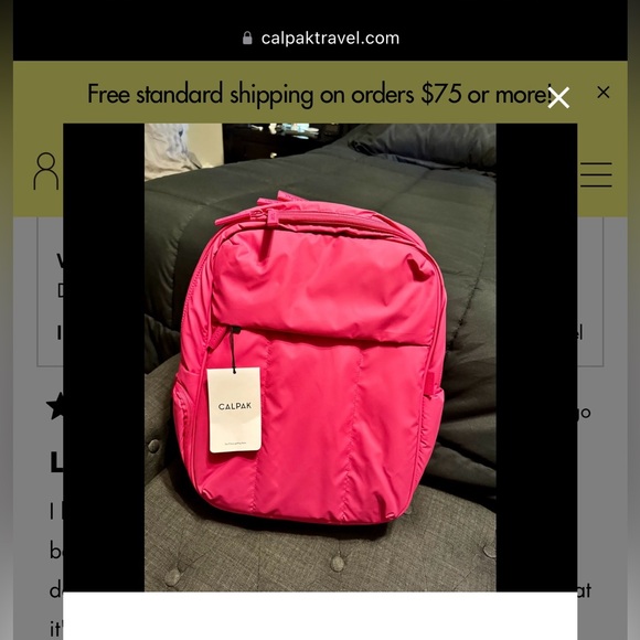 In search of a pink luka calpak 15in backpack! - Picture 1 of 2